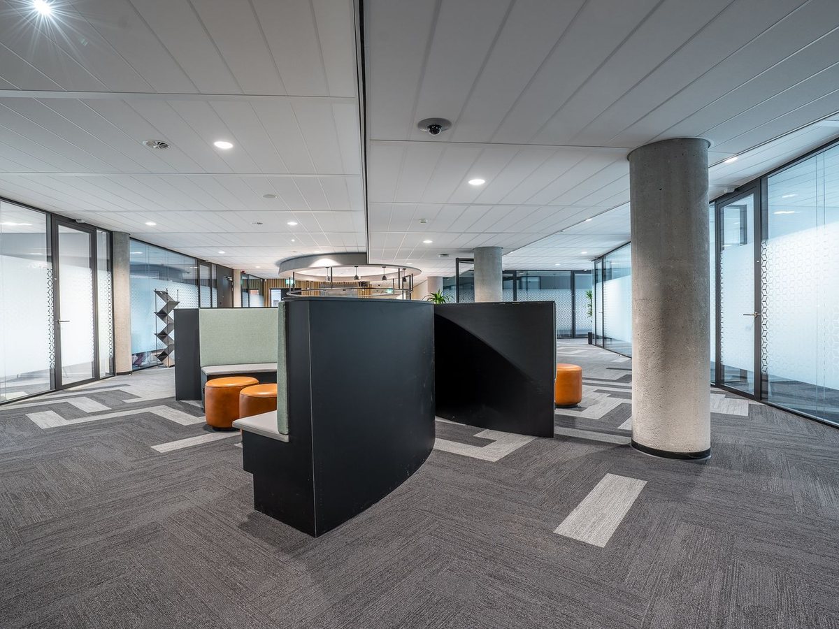 Modern office interior with a suspended ceiling